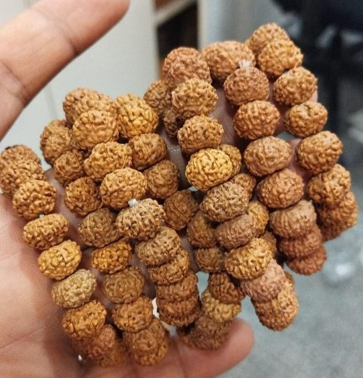 7 Mukhi Rudraksha Bracelet for Men – Natural Healing Beads (Pack of 1)